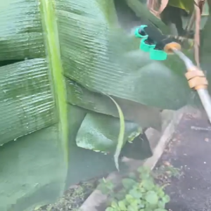 FARMJET 20L Electric Rechargeable Sprayer  DUAL MOTAL Knapsack Pressure Sprayer Garden Plant Watering Tool 电动喷雾器