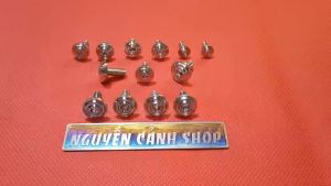 Ốc dàn áo Raider Satria Fi13 con inox 304 đầu dẹp thái