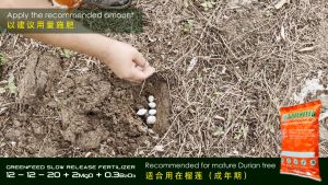 Greenfeed Slow Release Fertilizer 1KG 12:20:2+TE/Baja Pokok Buah Durian Special/Durian Fertilizer