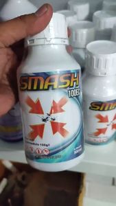 Obat Fogging Smash 100 EC: Solusi Efektif untuk Nyamuk & Kecoa