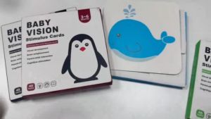 DreamBaby Flash Card Bayi Kartu Pintar Stimulasi Visual Bayi Mainan Edukasi Visual Flash Card