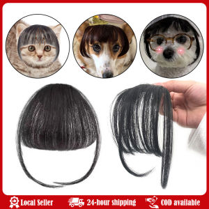 Pet Wig Cat Wig Cosplay Props Curly Hair Straight Hair Pet Supplies Creative Photography Funny Prank Gifts Pet Supplies Funny Dog Wig Pet Costumes Synthetic Hairpiece Dog Cat Cosplay Wigs Pet Wigs for Small Medium and Large Dogs Cat