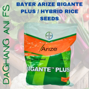 BAYER ARIZE BIGANTE PLUS / HYBRID RICE SEEDS 3 KILOGRAM PACK