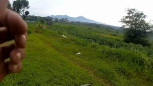 FAST DELIVERY Taffware Gergaji Mesin Listrik Mini Portable Senso Cordless Chainsaw 21V 4 Inch 800W