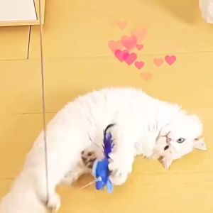 ตุ๊กตานก ร้องเพลง ตุ๊กตาผ้าสำหรับสัตว์เลี้ยง สามารถเล่นได้2แบบ ให้แมว เพลิดเพลิน-D13