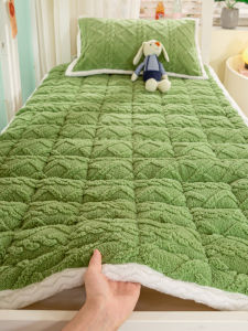 Bộ Ba Món Chăn Ga Gối Dày Bằng Vải Nhung Coral Mùa Đông Cho Phòng Ký Túc Xá Sinh Viên Chăn Ga Gối Đơn Bằng Vải Nhung Sữa