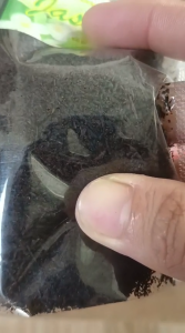 Dapatkan 5PCS Bukhur 50gr Gaharu Kasturi Hajar Aswad Jasmine Sabaya Aromaterapi