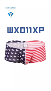 Mens Boxer: Cotton Stars & Stipes Boxer Brief Underwear (WX0011XP)