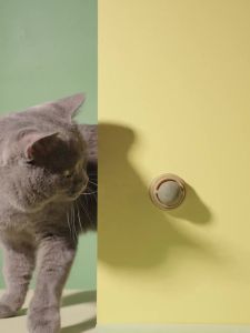 Rotating Natural Catnip Ball Molars Cleans Teeth Bites Catnip Balls Healthy Promote Digestion Cat Grass Snack/Tease the cat/猫薄荷添添乐/逗猫玩具/磨牙洁齿/清新口气/可爱风