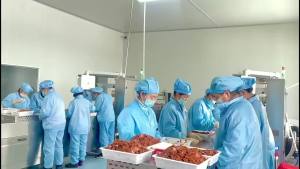 [ Miếng Mật Ong Nhân Sâm Tươi ] Nhân Sâm Núi Trường Bạch   Hồng Sâm   Sản Phẩm Mật Ong Cho Tóc Thẳng   Thuốc Bổ Nhân Sâm Một Tay
