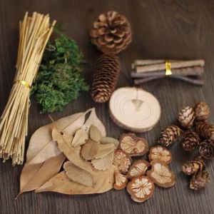 เครื่องประดับตกแต่งสำหรับการถ่ายภาพแบบวินเทจและสร้างสรรค์ ชุดของเล่นป่า ชุดเครื่องสำอาง ตกแต่งพื้นหลังสำหรับการถ่ายภาพ