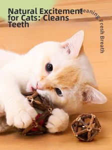 7o | Interactive Mint Cat Toy Teaser Wand Teeth Grinding