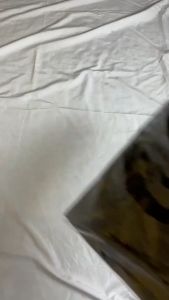 NEW ARRIVAL - Celana Panjang Cargo camo Loreng Reguler Fit White Grey Putih Army JUMBO