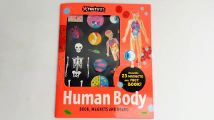 Human Body Factivity Magnetic Folder With Magnet Board