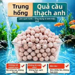 KUOTING | Bóng Thạch Anh Nuôi Cấy Sinh Hóa Làm Vật Liệu Lọc