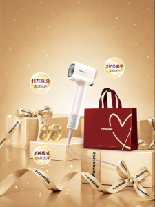 Panasonic | Negative Ion Powerful Hair-Protecting Hair Dryer