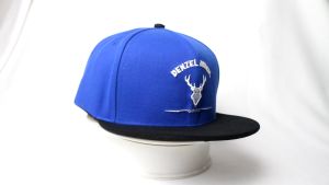 DENZEL DZ 147 Blue Snapback CAP - Topi Distro - Topi Snapback