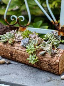 Wooden Creative Succulent Plant Pots Garden Decorative Mini Flower Pots Breathable Original Wood Small Flower Bed