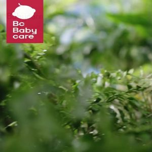 FANTASY T MALL Bc Babycare T-REX TOBY SIPPY Baby Straw Cup with Straw Gravity Ball 6-36M Training Water Bottle for Kids Sports Drinking 80ml/150ml/220ml/300ml 1 pack Baby Cute Design Tumbler drinking water