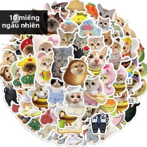 62 Chiếc Cosplay Mèo MEME Dán Kawaii Động Vật Dễ Thương Đề Can Cho Thêu Sò Sổ Tay Hành Lý Laptop Ván Trượt-Ngộ Nghĩnh Bộ Văn Phòng Phẩm