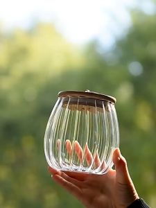 DR Large 750ML Glass Jar Creative Food Storage Container Cookie Tea Milo Sugar Cereals Flour Bekas Rempah Kaca 玻璃香料容器