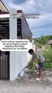 Marsh Rat Mouse Repellent Killer House and Car Engine Repel Mice by Smell Nontoxic Safe for People and Pets Rat off Spray Rat Repellent Anti Rat Spray Mouse Repellant Rat Away Spray