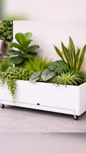 [SG THEJOYLAND] Mobile Garden Bed Metal Plant Box Rolling Flower Pot Removable Water Tray Indoor Greenery Holder Modern Garden Supplies Apartment Gardening Essential Heavy Duty Movable Base Large Rectangular Trough For Balcony Patio Landscape Decor