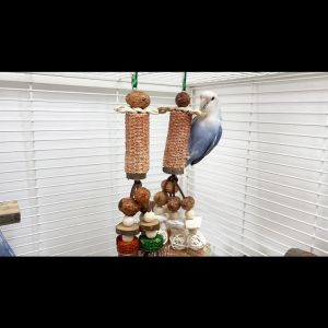 🇸🇬 Bird Chew Toy: Parrot Gnawing Toy with Corn Cob Nuts and Fruit for Grinding