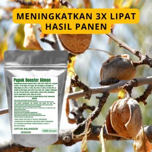 Pupuk Booster Almon Pelebat Organik Cepat Berbuah Lebat Besar Anti Rontok Pembesar Almon