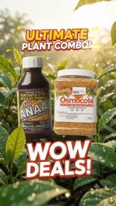 [HIGH RECOMMEND] OSMOCOTE 14-14-14 + Philor ANAA Long-Lasting Nutrition Root Growth & Flowering
