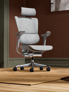 Ergonor | Lumbar Support Ergonomic Office Chair