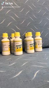 Dung Dịch Bổ Gan Mật Bổ Sung Vitamin Dành Cho Chó Mèo HEPARENOL - Siro Ăn Ngon Tiêu Hóa Tốt Cho Thú Cưng