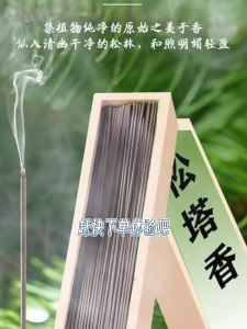 Pine Seed Fragrance Indoor Home Aroma Line Incense Burning Fragrance