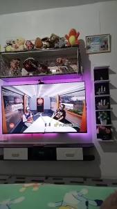 SUNOOM Hanging Bookshelf Display Rack Cosmetic Rack Modern Wall Mount Simple Storage Rack Easy To Install