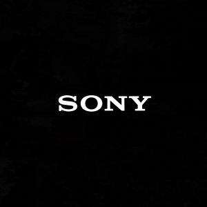 Sony WF-1000XM5 Premium Truly Wireless Digital Noise Cancelling Headphones Hi-Res LDAC Codec Active Noise Cancelling