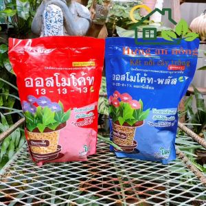 Túi 1kg NPK 12-25-6+1 phân vàng tan chậm Osmocote Thailand kích hoa hoa to đậm màu phóng thích 3-6 tháng