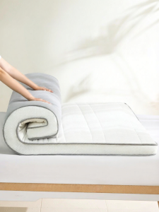 Mercury | Antibacterial Soy Mattress For Home And Rental Use