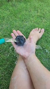 1 แถม 1 สบู่กาแฟสมุนไพร Coffee herbal soap