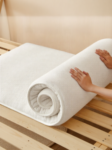JoynCleon | Pure Cotton Student Dormitory Thin Single Mattress