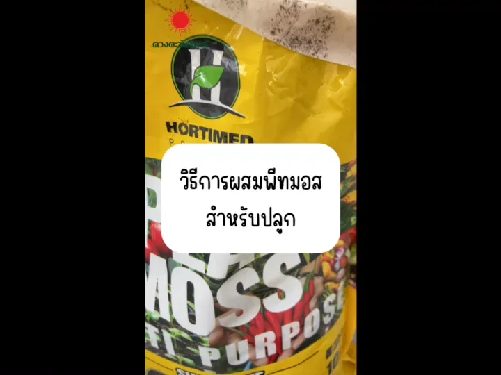 10 อันดับ พีทมอส ยี่ห้อไหนดีสำหรับปลูกต้นไม้และเพาะกล้า อัปเดตปี 2026