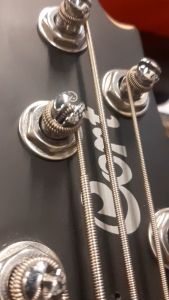 Cort Action Bass V Plus 5 String bass gitar w 2 band Active EQ