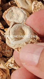 [พร้อมส่ง] เปราะหอม ดีต่อผิวและสุขภาพ (ปริมาณ 500 กรัม)