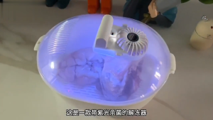 Four-in-one defrosting machine multi-function food thawing box UVC sterilization fast thawing washing dishes washing vegetables and fruits draining basket. Fast thawing and fresh-keeping machine解冻器,除霜机