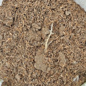 กาบมะพร้าวสับ เล็ก กลาง ใหญ่