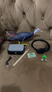 Paket komplit Jontrot MP3 Kareo Ruak Ruak Sawah ( PREMIUM ) plus Speaker Bluetooth plus Racik + Kerincingan