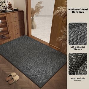 Dust-Removing Easy-Clean Non-Slip Wear-Resistant Door Mat