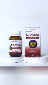 [Bảo Hành] Combo 4 TẶNG 1 Bổ gan LIFAMAX 30 viên giải độc mát gan phục hồi chức năng gan FAMAX