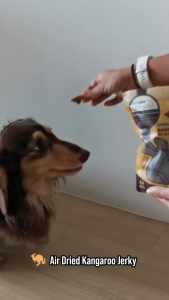 OMAKASE AIR DRIED Kangaroo Jerky Dog & Cat Single Ingredient Dehydrated Pet Treats