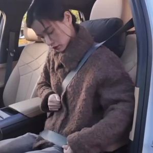 Car Seat Belt Adjuster Seat Belt Clamp Shoulder and Neck Seat Belt Locking Clip Protector Comfortable Driving Auto Accessories
