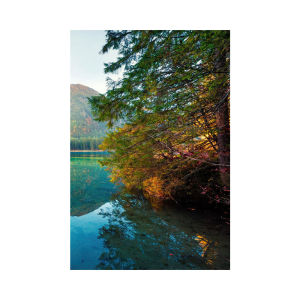 3PCS Nature Sunshine Forest Lake Poster Print Wall Art Landscape Pictures Canvas Painting for Living Room Home Decor Frameless
